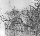 Дерево у забора. 1903-1904. карандаш.